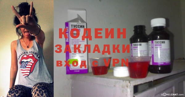 шишки Билибино