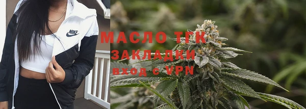 шишки Билибино