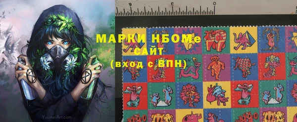 шишки Билибино