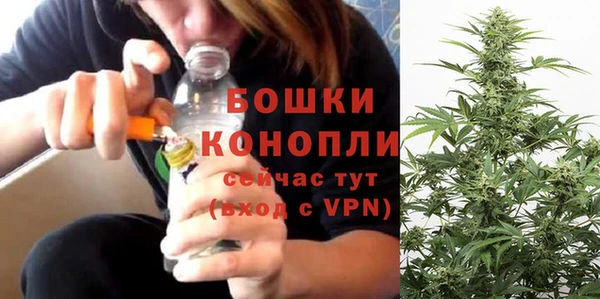 гашик Бикин