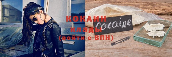 гашик Бикин