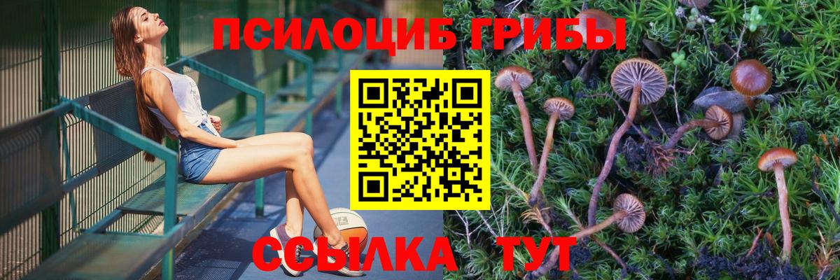 Псилоцибиновые грибы MAGIC MUSHROOMS  Галлюциногенные грибы Magic Shrooms  Борзя  Вход с VPN 