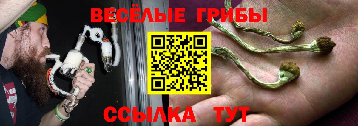 Галлюциногенные грибы ЛСД  Галлюциногенные грибы мицелий  Борзя 